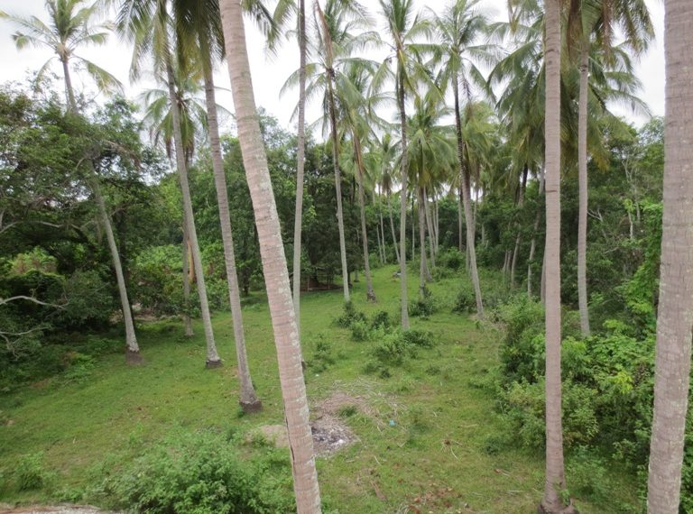 Land for sale (7)
