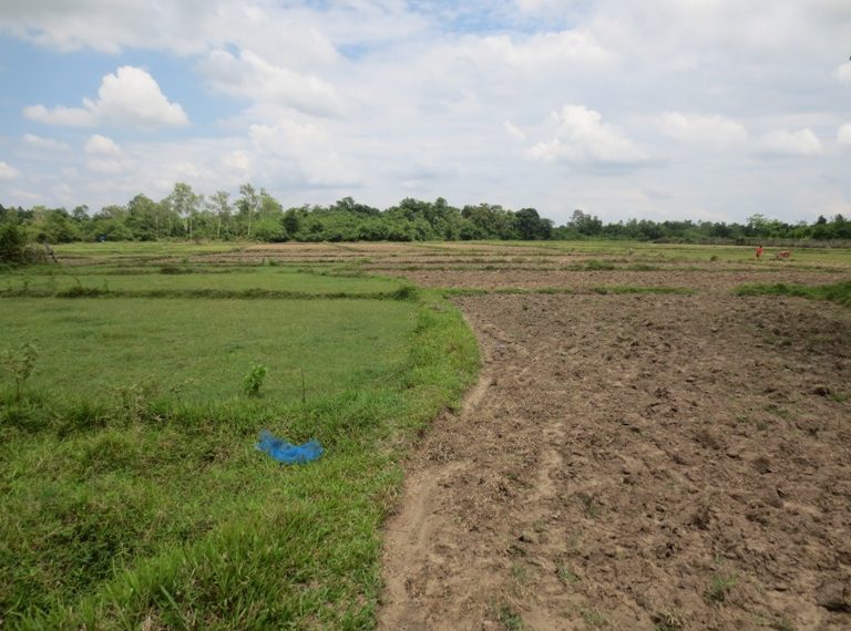 Land for sale (7)