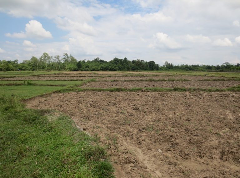 Land for sale (8)