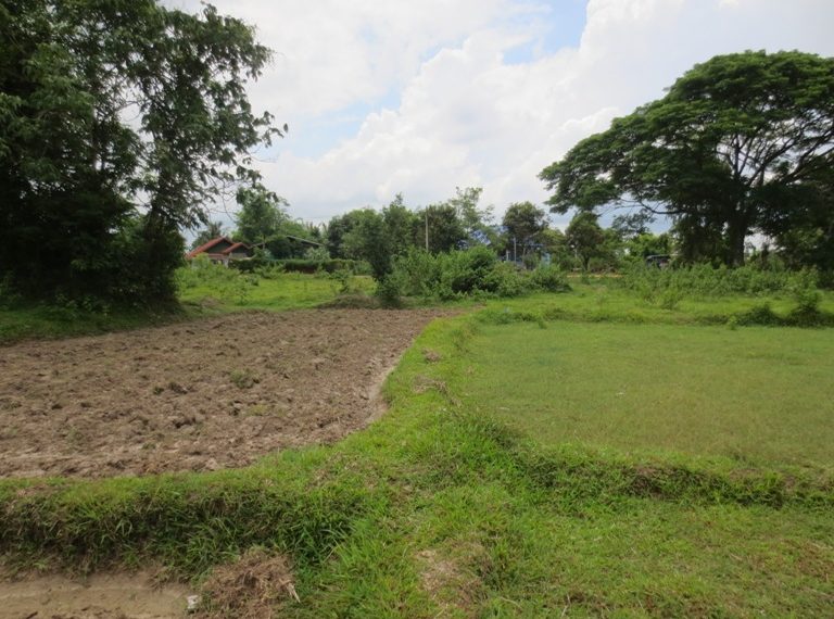 Land for sale (9)