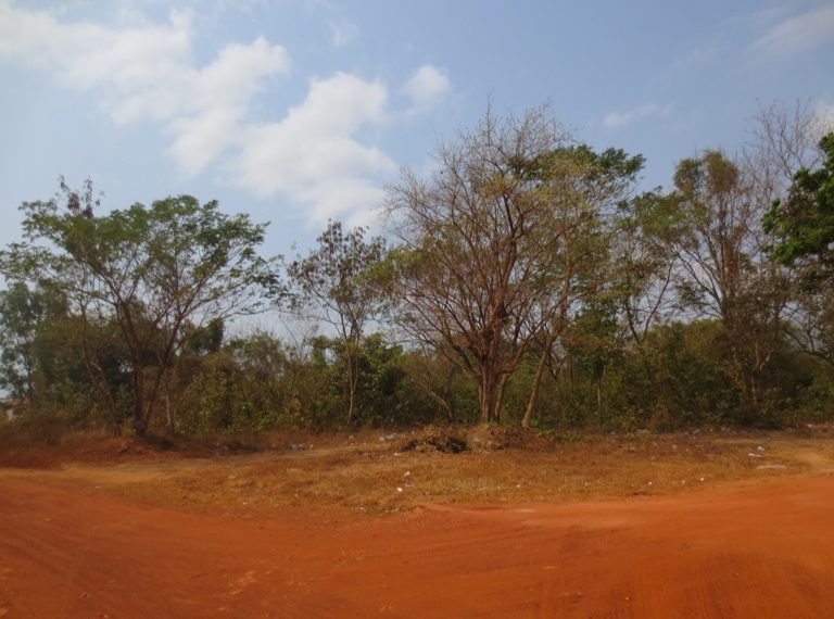 Residential Land (1)