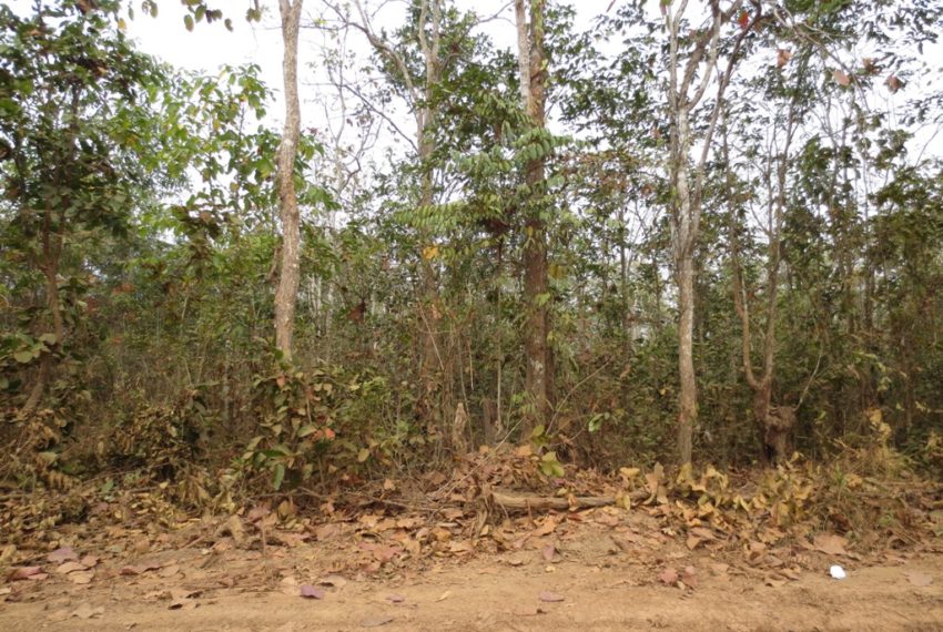 Residential land (10)
