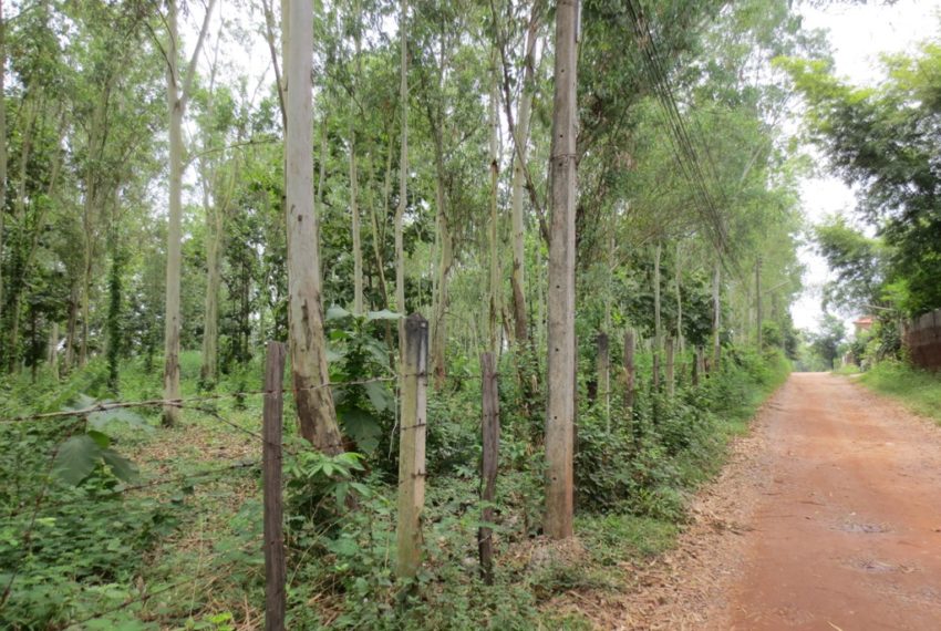 Residential land For Sale (1)