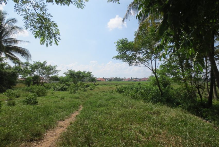 Residential land For Sale (1)