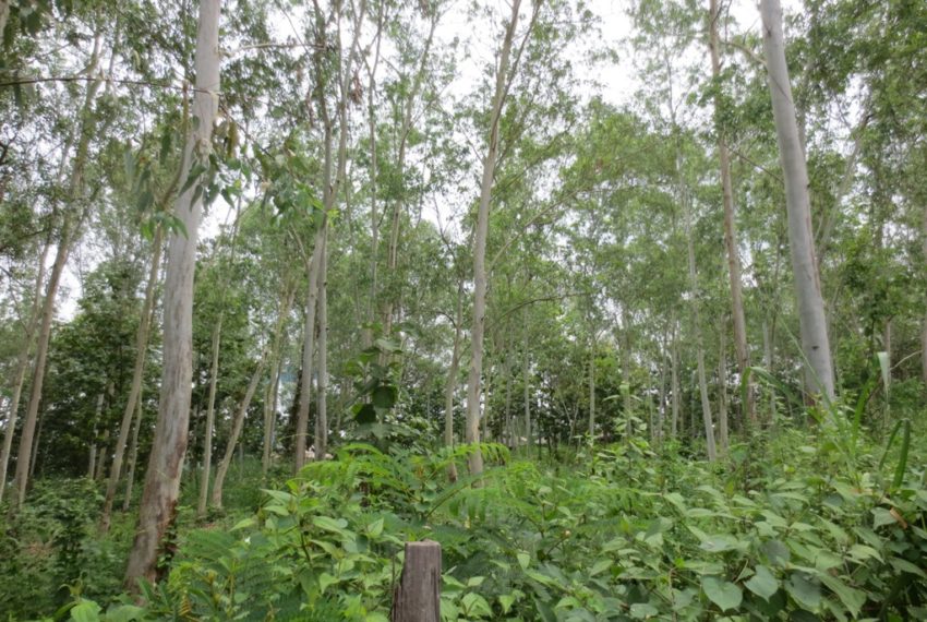 Residential land For Sale (2)
