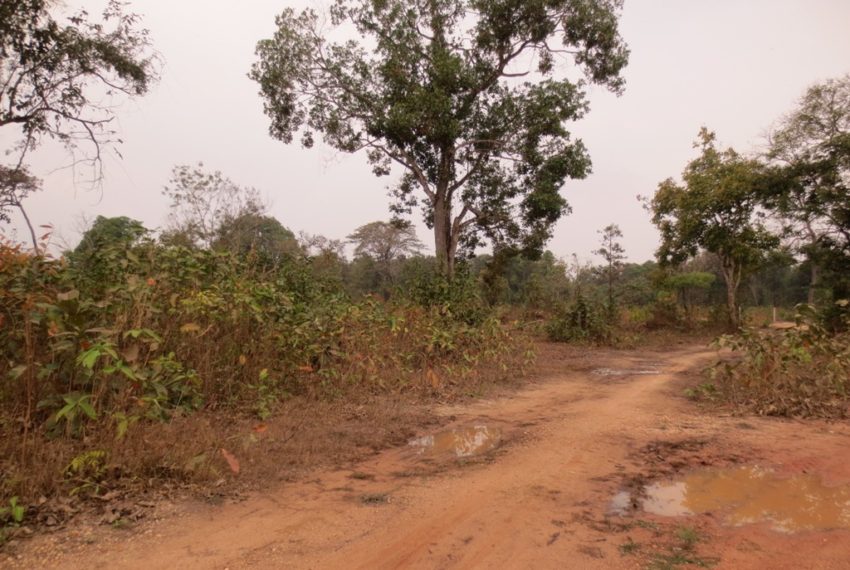 Residential land For Sale (2)