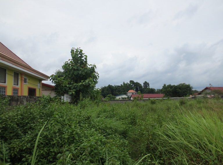 Residential land For Sale (2)