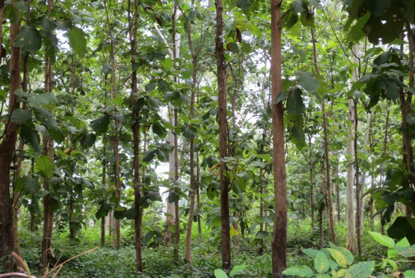 Residential land For Sale (3)