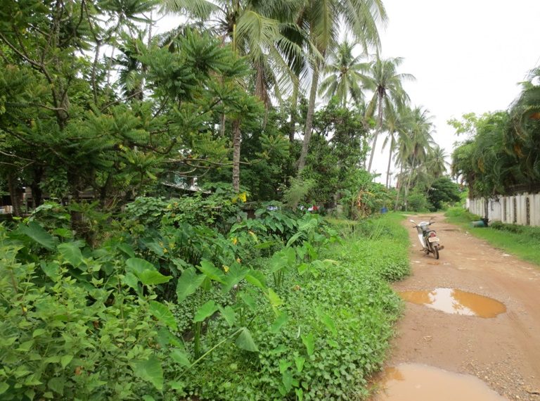 Residential land For Sale (3)