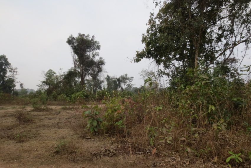 Residential land For Sale (3)