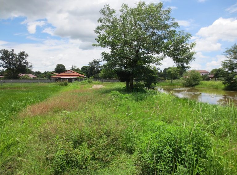 Residential land For Sale (4)