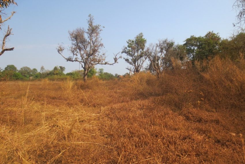 Residential land For Sale (8)
